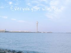 -上海吴淞炮台湾国家湿地公园