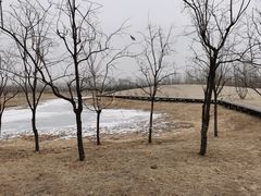 -东郊湿地公园