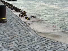 -多瑙河畔鞋履雕塑