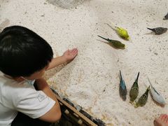 -上海昆虫博物馆