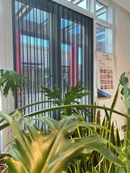 -黎蓓露·徒手骨雕蛋白抗衰·调肤管理