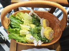 -濠七糟粕醋·椰子鸡火锅(上海首店)