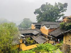 -杨家堂村