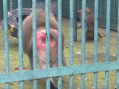 -秦皇岛野生动物园