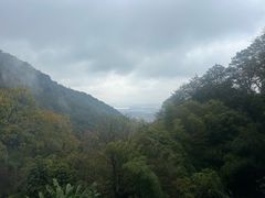 -韬光茶庵