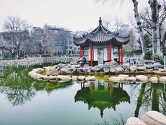 -莲湖公园