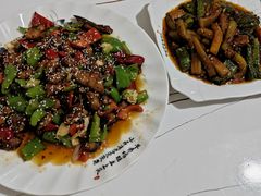 -煲来饱去冷水鱼