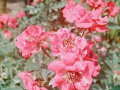 -人民公园(罗湖区)