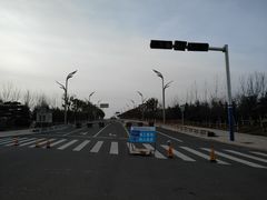 -星光岛