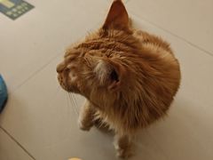 -平行世界·猫咖(首经贸店)