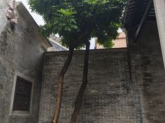 -碧江金楼