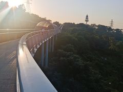 -仙岳公园
