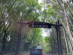 -海南热带野生动植物园