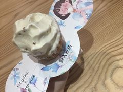 -野人先生现做冰淇淋(西安赛格店)
