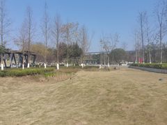 -金海湾滨江公园