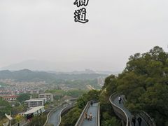 -福道