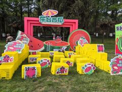 -黄海国家森林公园