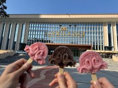 -广西壮族自治区博物馆