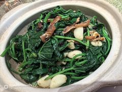 -粤珍轩·家宴·广式茶点(新城广场店)