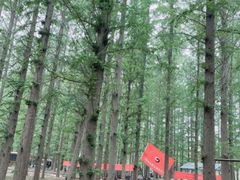 -渡海小渔村.老辈日照菜