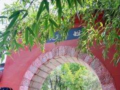 -洛阳白马寺