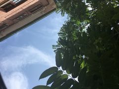 -大学路8号炸串(大学路十四号院店)