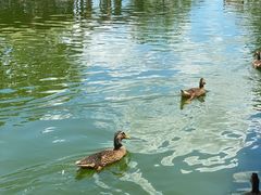 -侯臣咖啡文化村