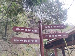 -重庆彩云湖湿地公园