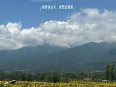 -永定河休闲森林公园