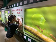 -上海昆虫博物馆