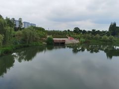 -眉山湿地公园(东坡区)