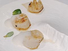 -Oyster Talks 四度蚝法餐厅