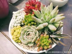 -长春香格里拉
