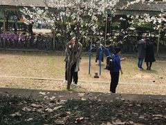 -武汉大学-樱园
