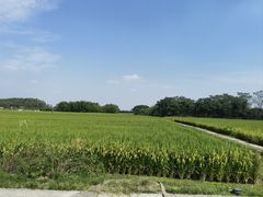 -良渚古城遗址公园