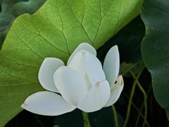 -金稼园·金平湖农家菜