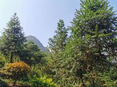 -南武当山景区