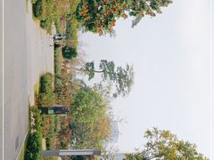 -香蜜公园