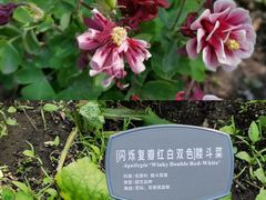 -国家植物园