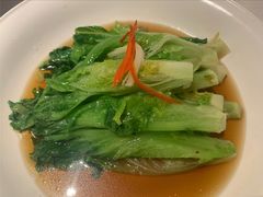 白灼罗马生菜-悦融琥珀·京鲁菜·海味珍品(西单店)