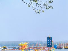 -溱湖国家湿地公园