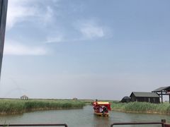 -南大港湿地风景区