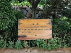 -麦积山温泉