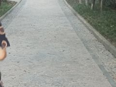 -西安市长乐公园