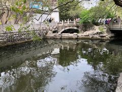-趵突泉景区