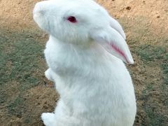 -羊亭河湿地公园