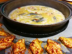 鱼排-重庆乌鱼庄·龙滋鲜(青羊大道店)