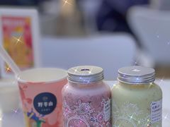 -野萃山·潮汕厚果汁(十亩地店)