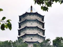 -深圳国际园林花卉博览园