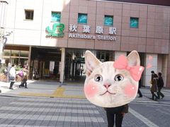 -秋叶原电器街